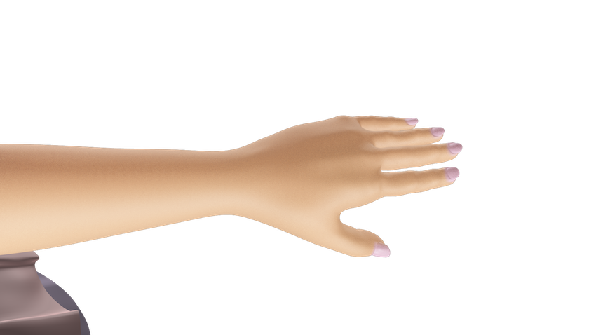 Closeup of the hand of the 3D model of Monica.