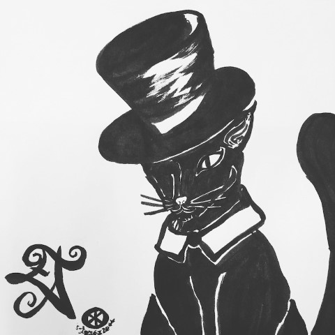 A cat wearing a top hat.