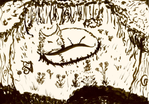 Fox curled up with its tail covering its legs in a clearing in the forest.